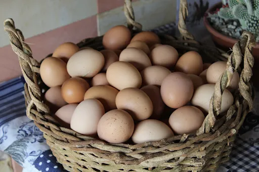 Don't: Put all your eggs in one basket